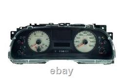 05-07 Ford F250 Superduty Instrument Gauge Cluster Speedometer Repair Service