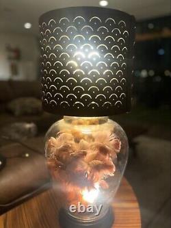Refurbished antique lamp vintage
